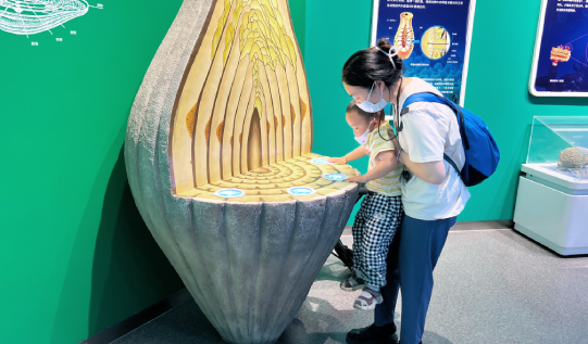 開展《走進自然》的國家自然博物館親子活動