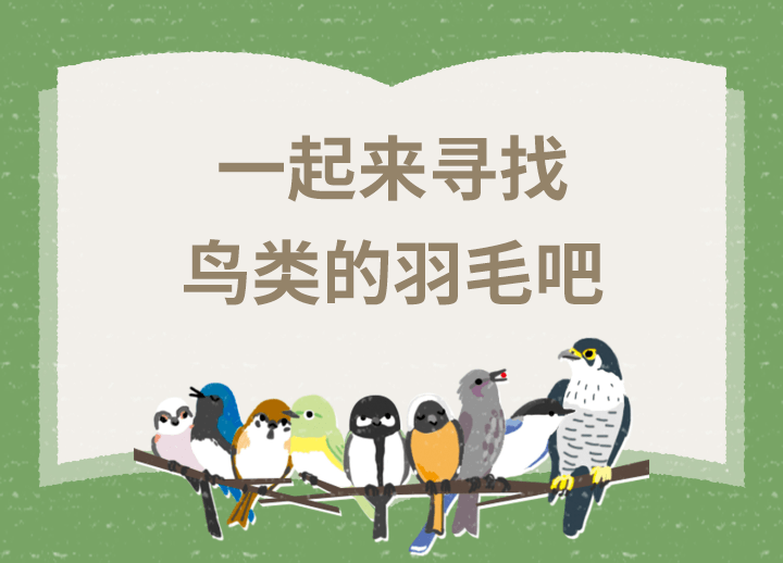 解開(kāi)鳥(niǎo)類(lèi)之謎