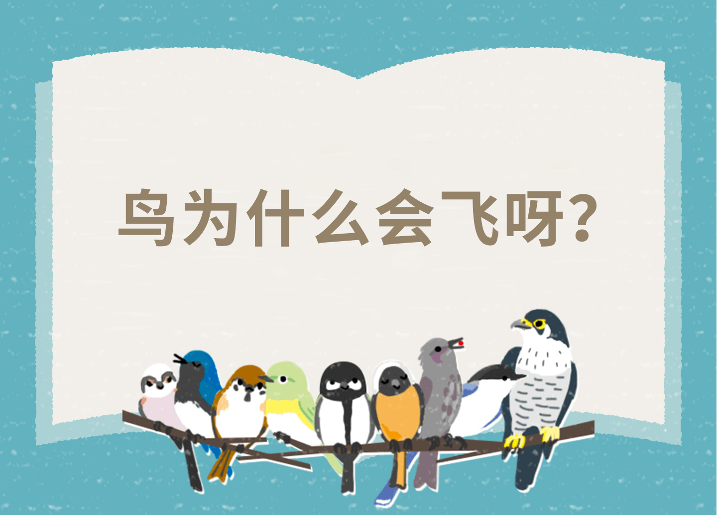 鳥(niǎo)為什么會(huì )飛呀？