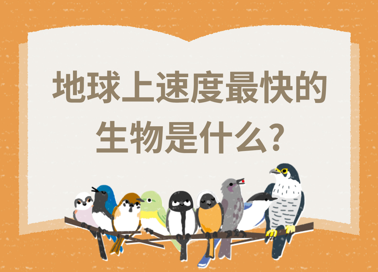 地球上速度最快的生物是什么？