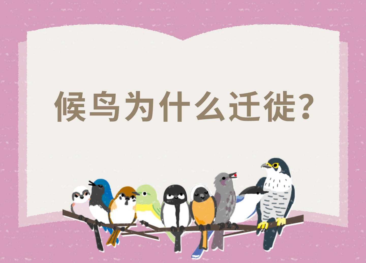候鳥(niǎo)為什么遷徙？