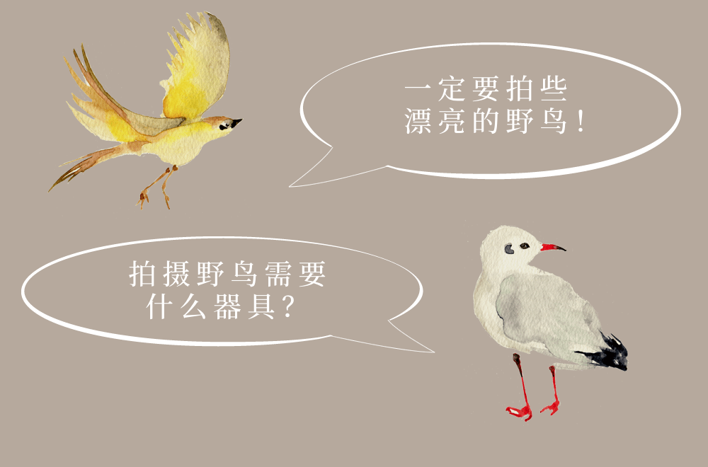 圖像