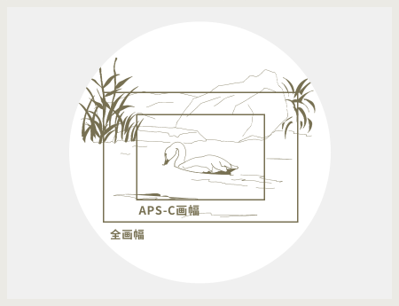 圖像