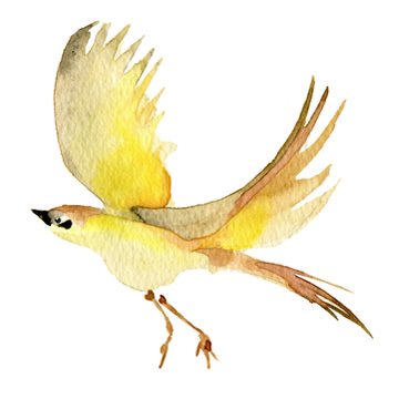 圖像