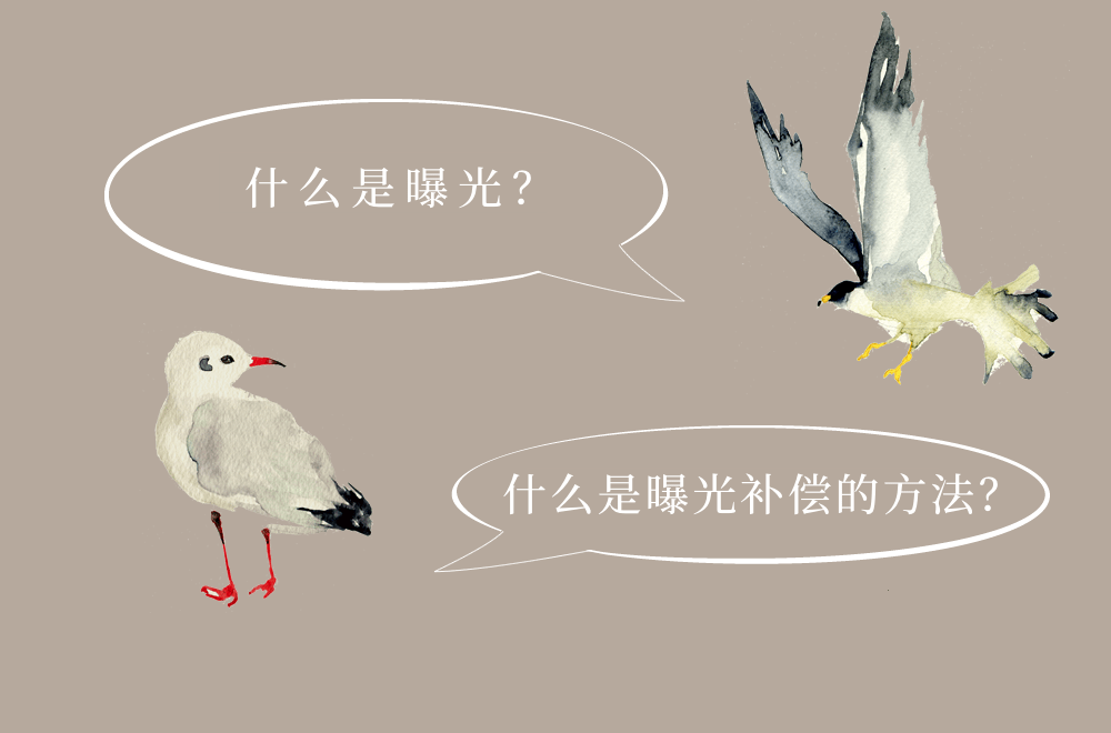 圖像