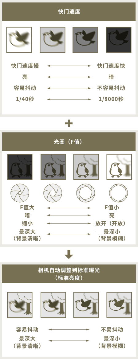 圖像