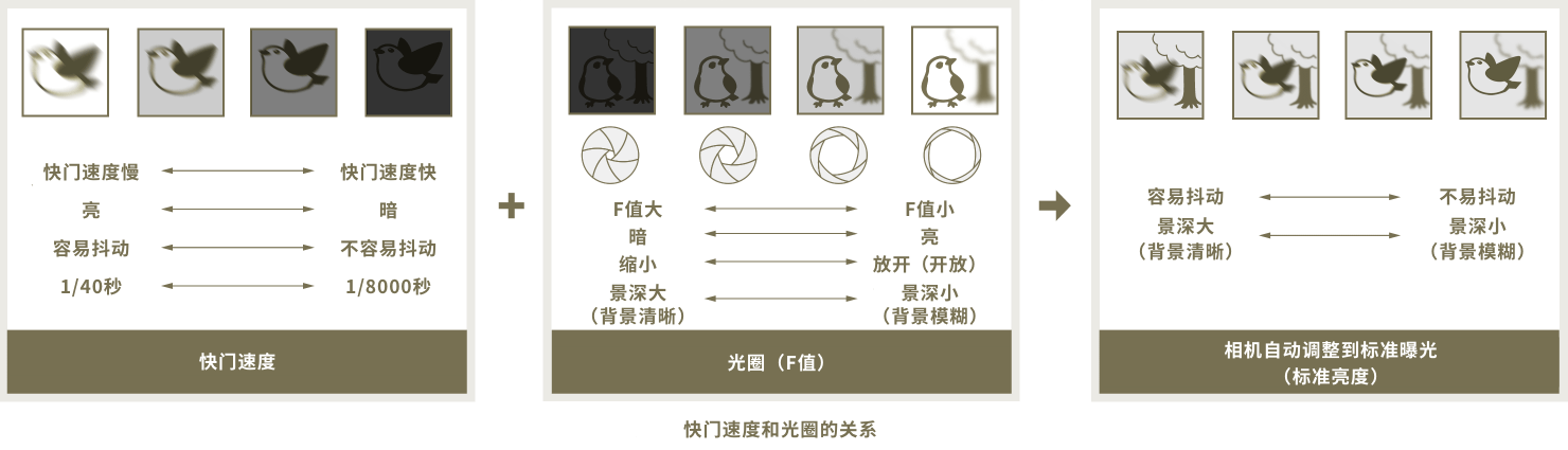 圖像