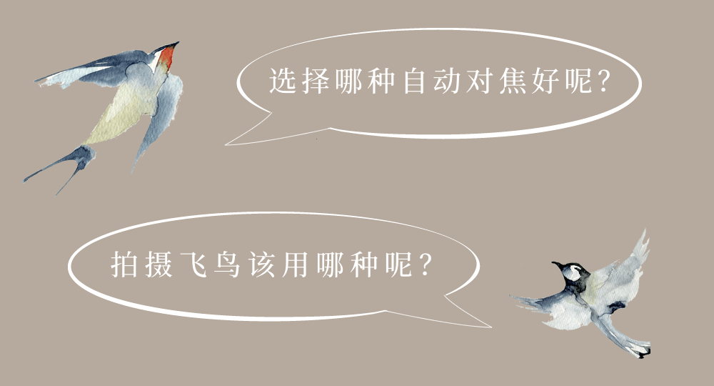 圖像