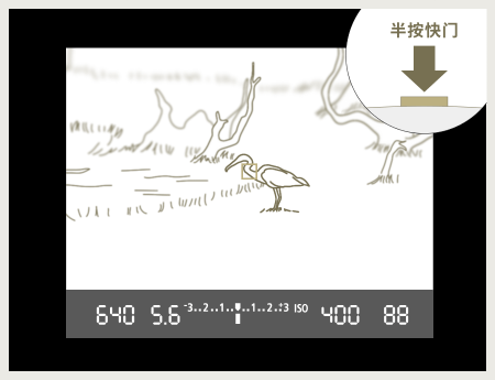 圖像