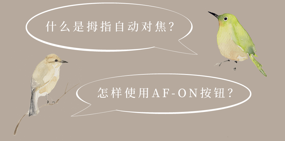 圖像