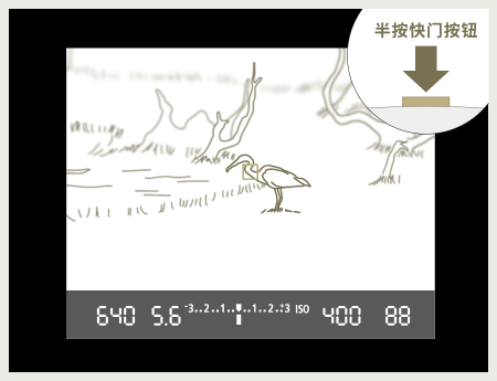 圖像