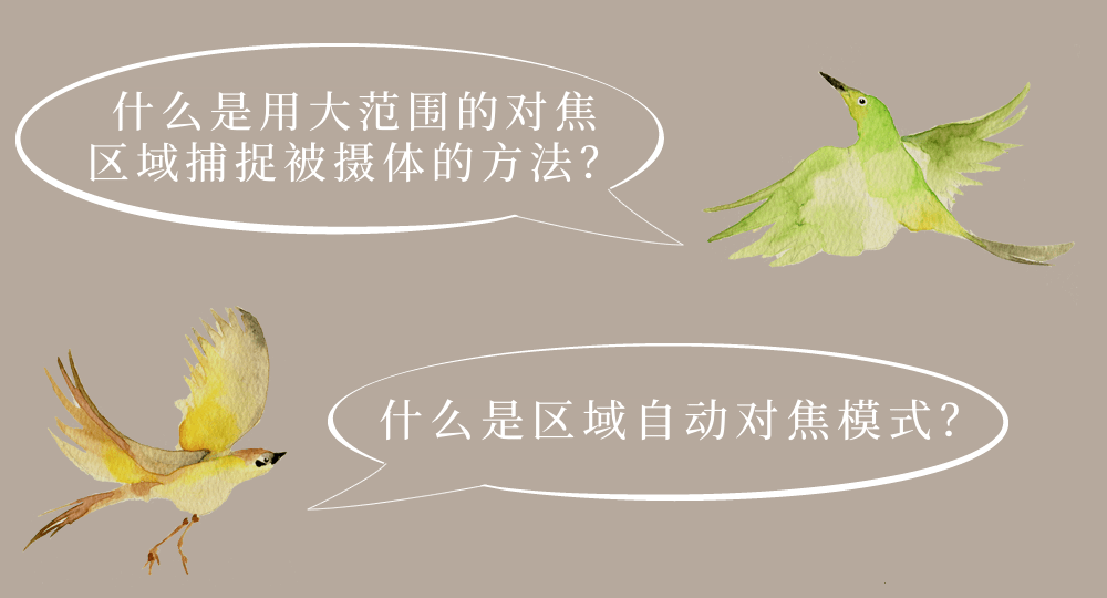 圖像