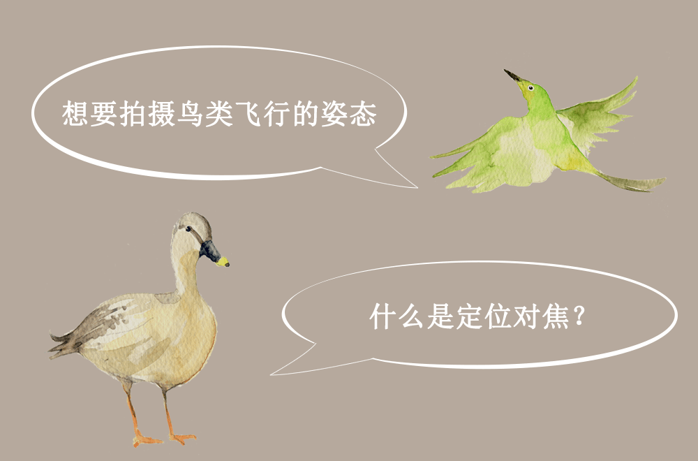 圖像