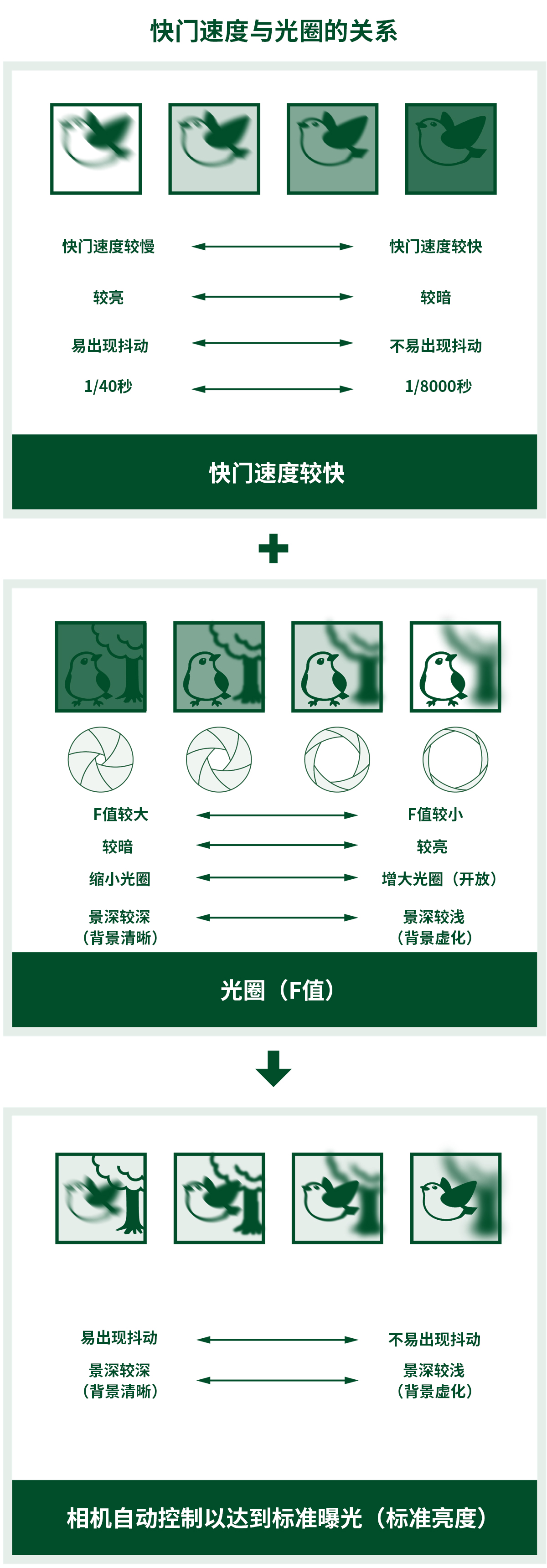 圖像