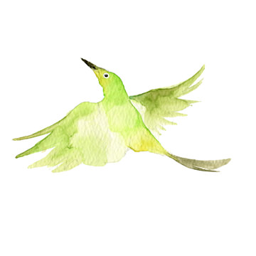 圖像