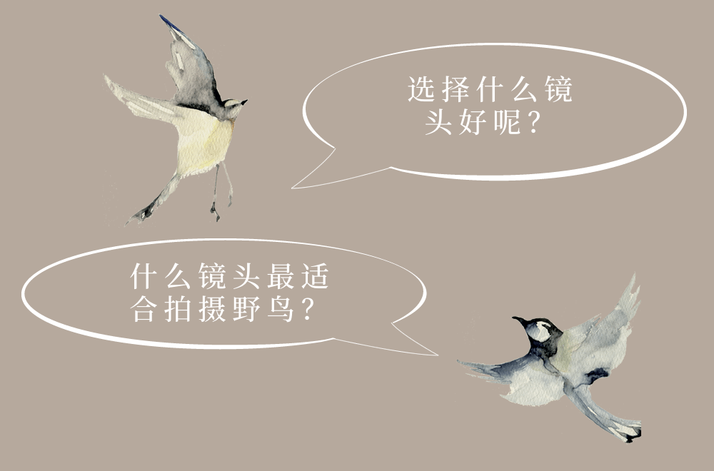 圖像