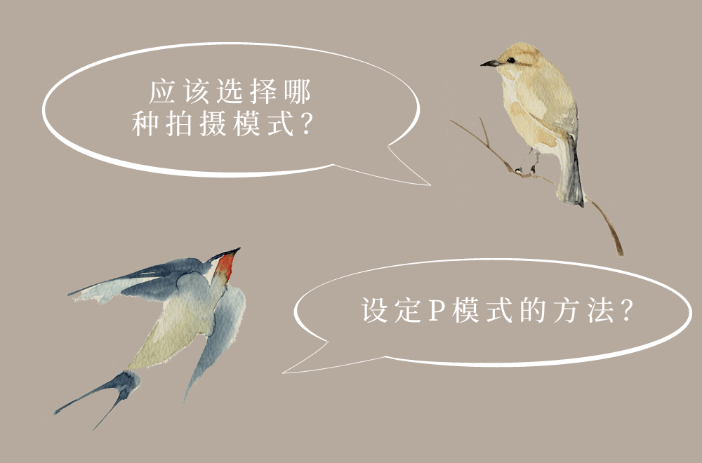 圖像
