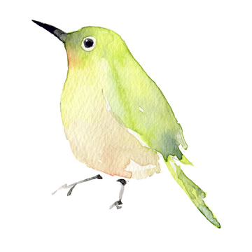 圖像