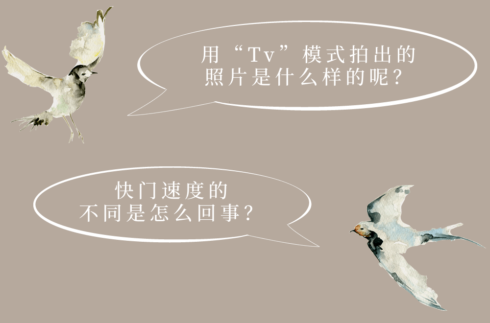 圖像