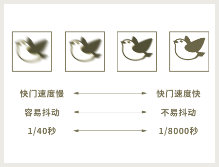 圖像