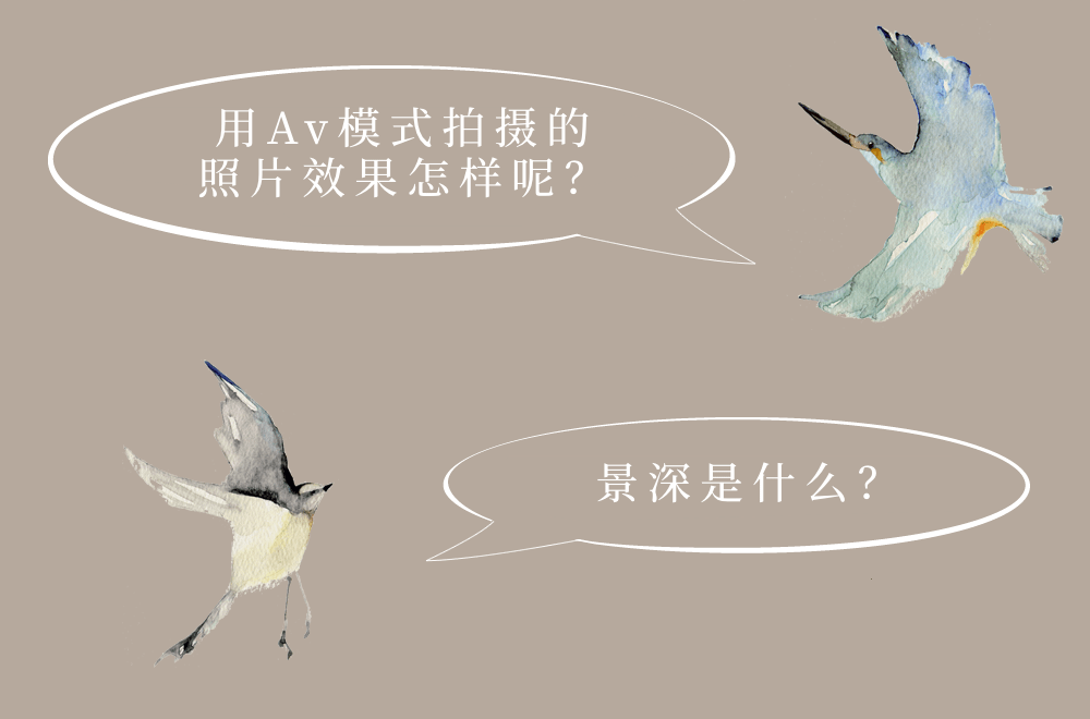 圖像