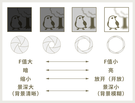 圖像