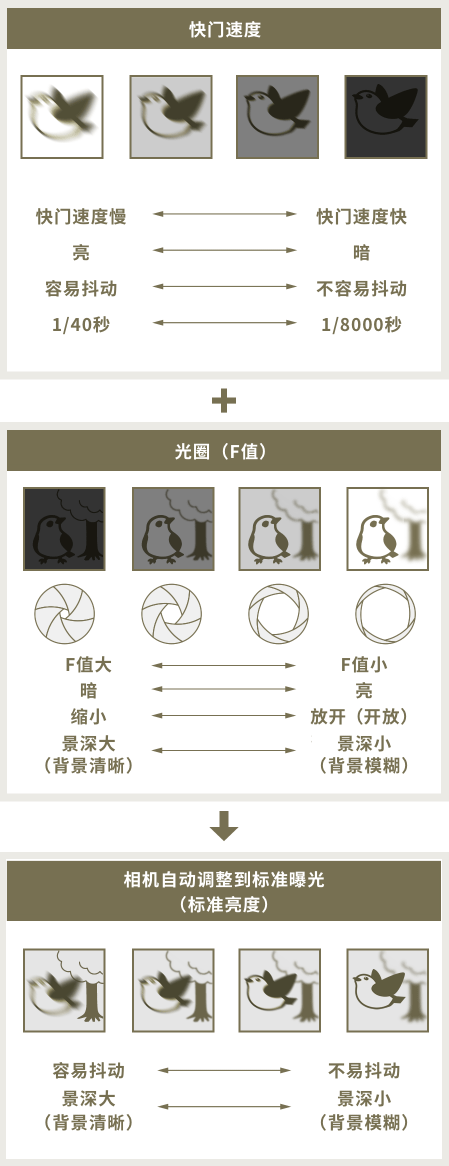 圖像