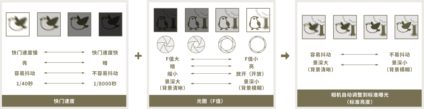 圖像