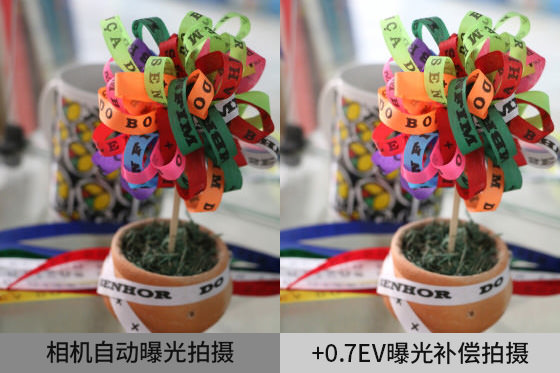 相機自動曝光有時候不能獲得理想亮度。這時候可以使用曝光補償。